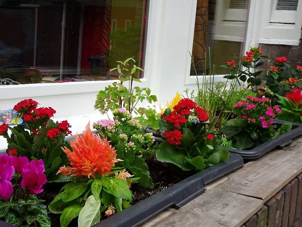 Xaviera'S Bed And Breakfast Amsterdam Nizozemsko