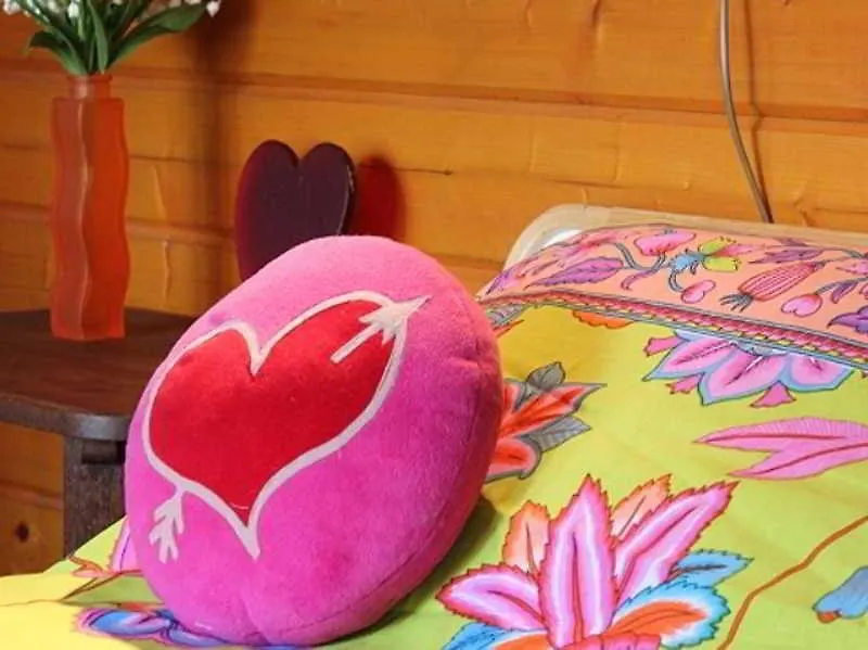 Xaviera'S Bed And Breakfast Амстердам 2*,