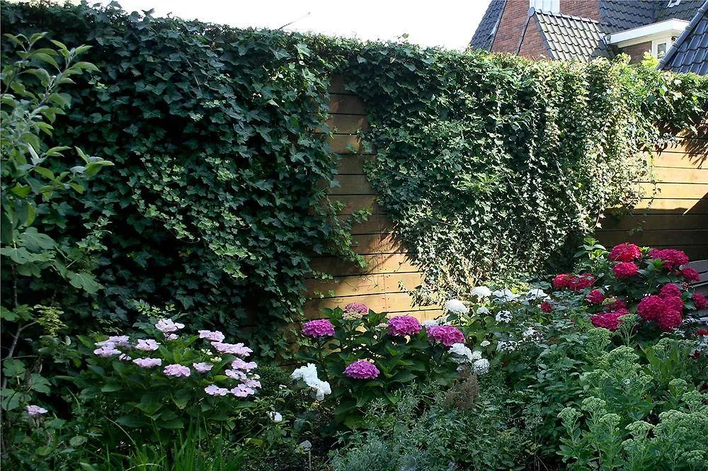 Xaviera'S Bed And Breakfast Amsterdam 2*,  Pays-Bas